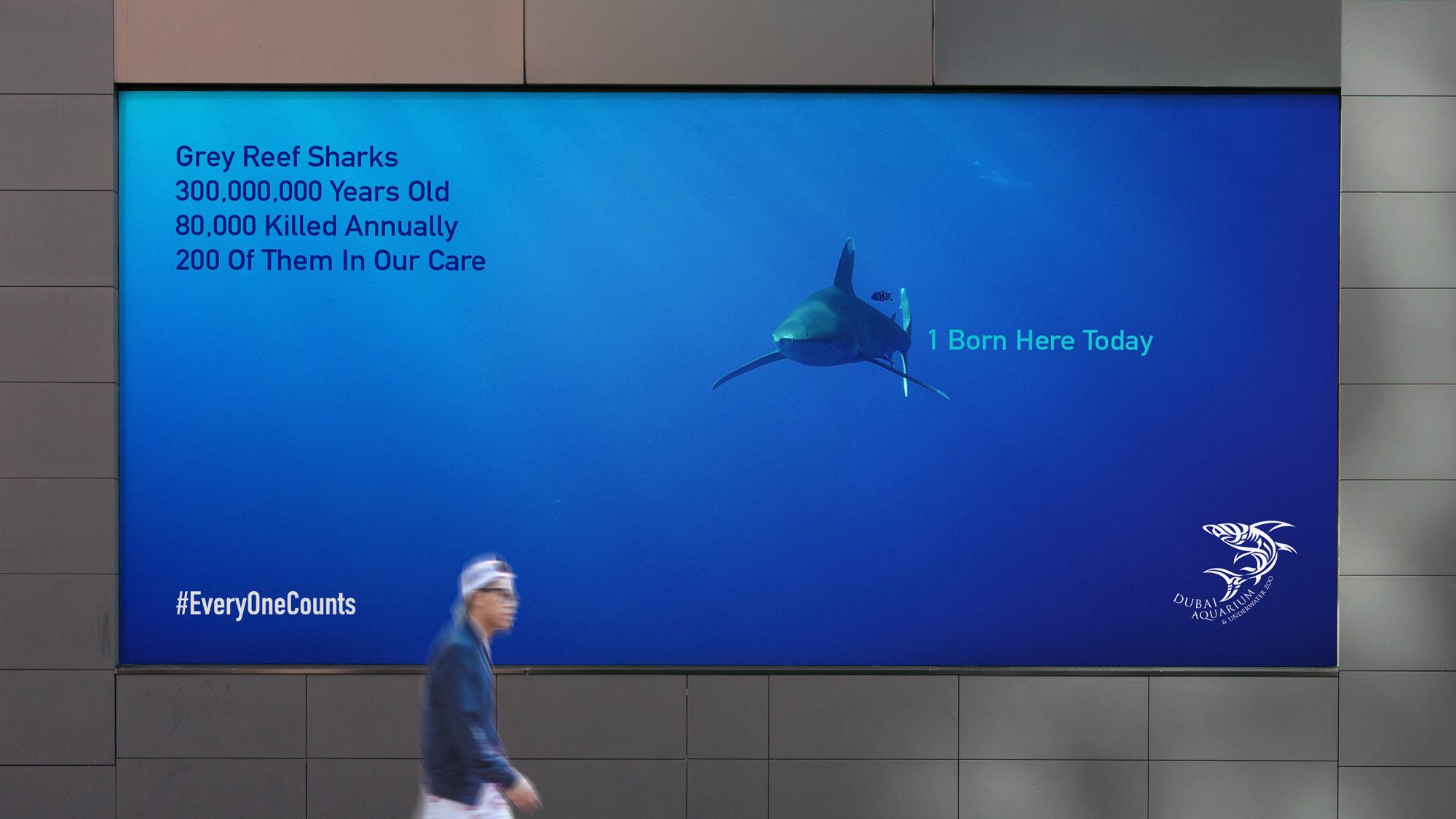 Entity-3-Three-Brand-Design-Agency-Sydney-Campaigns-15-Dubai-Aquarium-digital-poster-ooh-ad